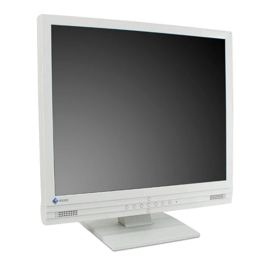 Eizo FlexScan M1900