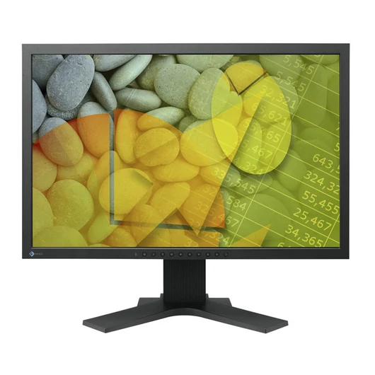 Eizo FlexScan S2202W