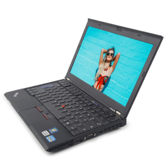 LENOVO ThinkPad X220 (4291)