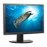 Kép 1/5 - LENOVO ThinkVision LT2452p