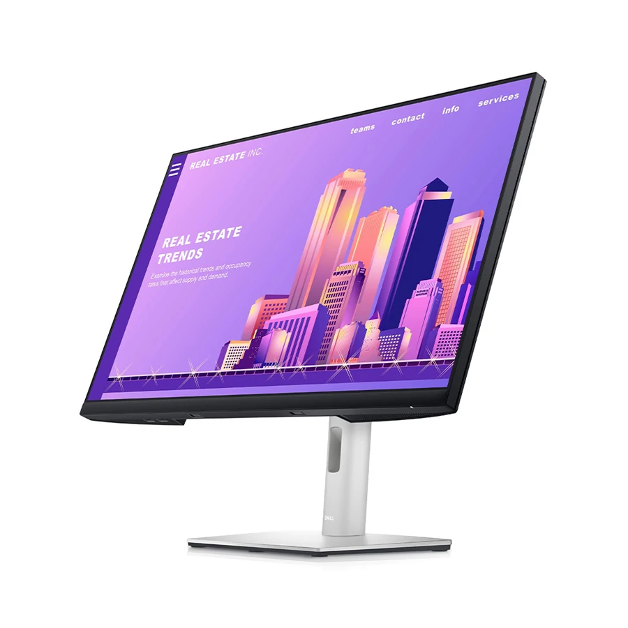 DELL P2422H