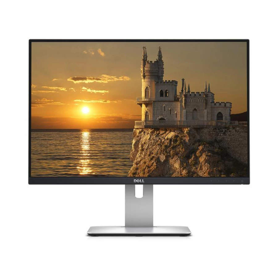 DELL U2415