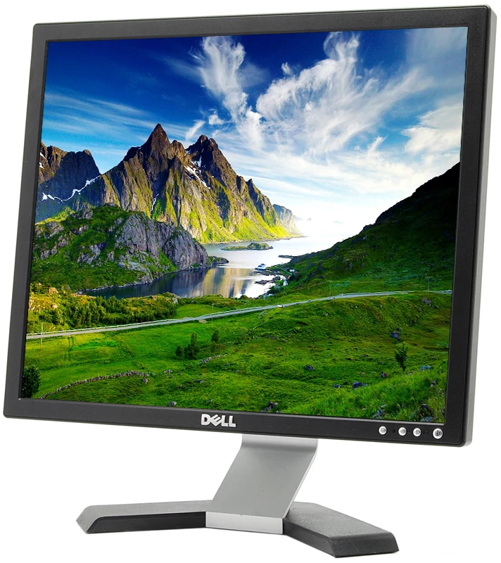 DELL E198FP: A-